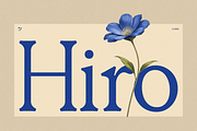 Hiro – Variable Serif, a Serif Font by ggdesign.it (Thumbnail 1 of 11)