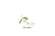 Watercolor snowberry clipart, an Illustration by OlDm_Shop (Thumbnail 11 of 11)