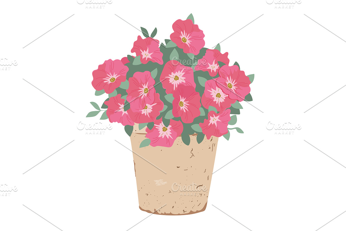 Bouquet of petunia flowers in a, an Object Illustration by Toltemara