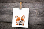 Corgi Character. Dog clipart, an Animal Illustration by sheincar (Thumbnail 4 of 5)