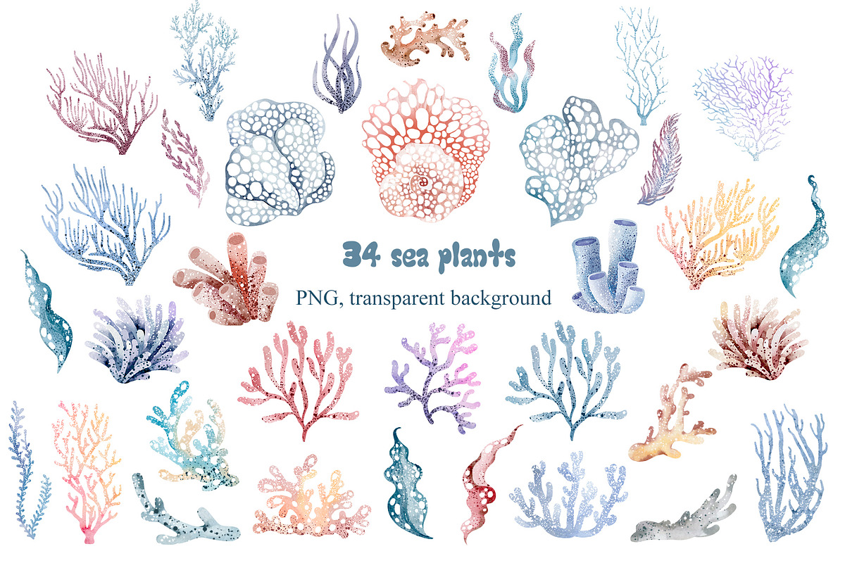 Ocean Animals Watercolor Clipart, an Animal Illustration by LenArt (Photo 14 of 16)