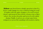 Mizhon | 36 Fonts, a Serif Font by Skinny Type (Thumbnail 3 of 15)