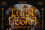 TAN - LUNA NEGRA, a Serif Font by TanType (Thumbnail 1 of 16)