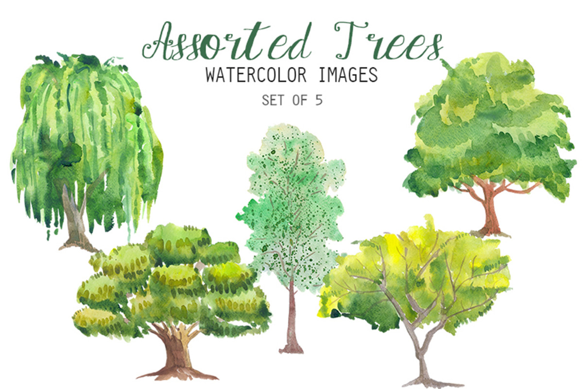Watercolor Assorted Trees Clipart, an Illustration by YesFoxy