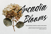 Curiousity Reuis Handwritten Script, a Script Font by gracetype_studio (Thumbnail 2 of 11)