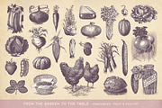 SALE! 100 Garden Illustrations, an Object Illustration by Anja Kaiser (Thumbnail 5 of 8)