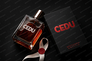Cedu | A Modern Luxury Serif, a Serif Font by Astuti Studio (Thumbnail 19 of 25)
