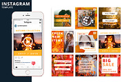 Autumn Instagram Animated Template, a Social Media Template by Brandspark Mini (Thumbnail 1 of 2)