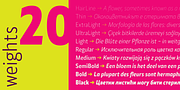 Alamia, a Sans Serif Font by Ani Dimitrova (Thumbnail 7 of 12)