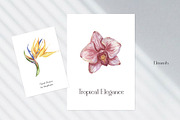 Watercolor Tropical Elegance, a Decorative Illustration by MayaNavits (Thumbnail 6 of 9)