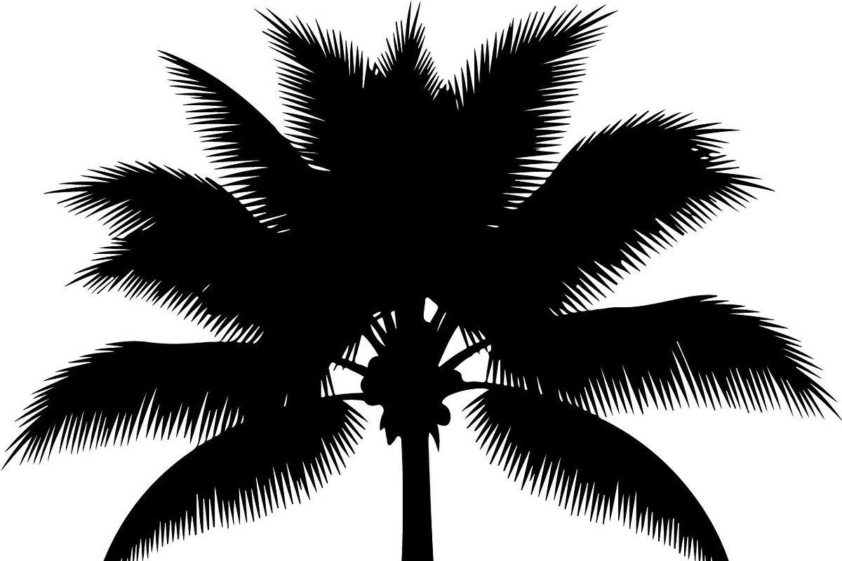 Palm Tree SVG Bundle, an Illustration by Creativeshirt (Photo 5 of 7)