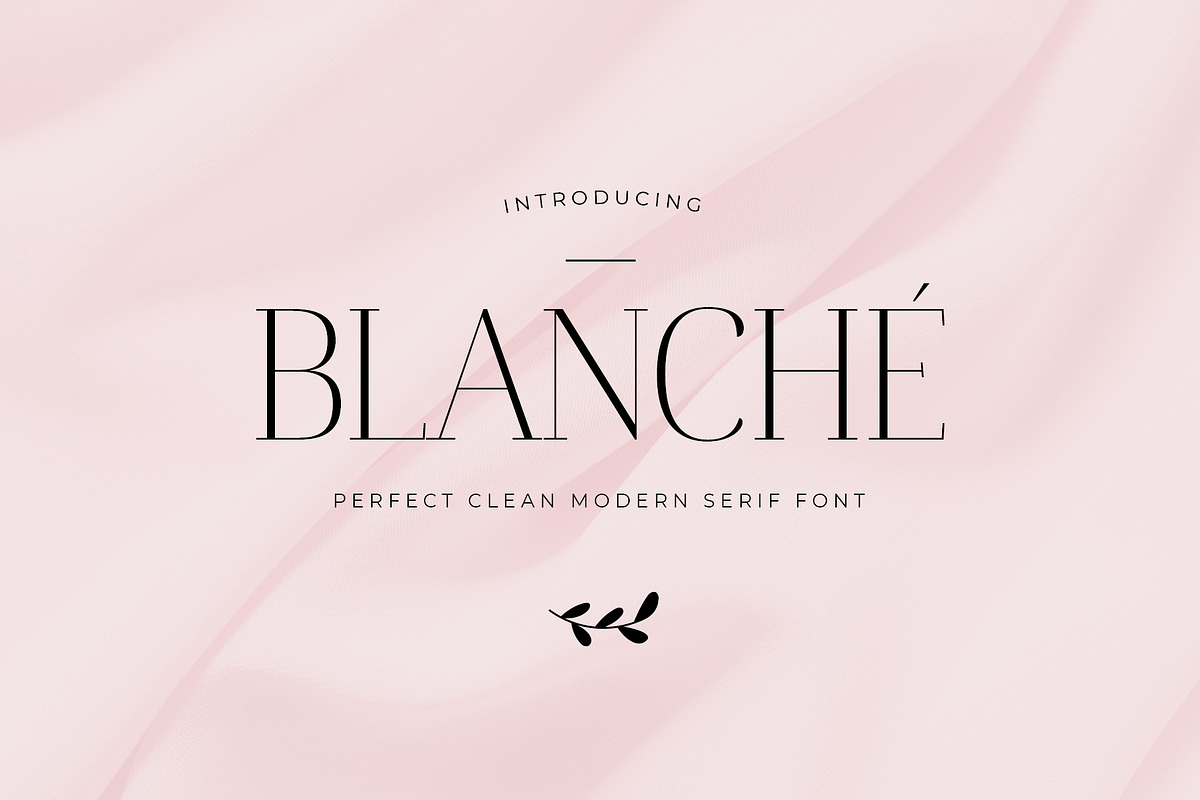 Blanche / Vintage Modern Serif, a Serif Font by supfonts (Photo 1 of 14)