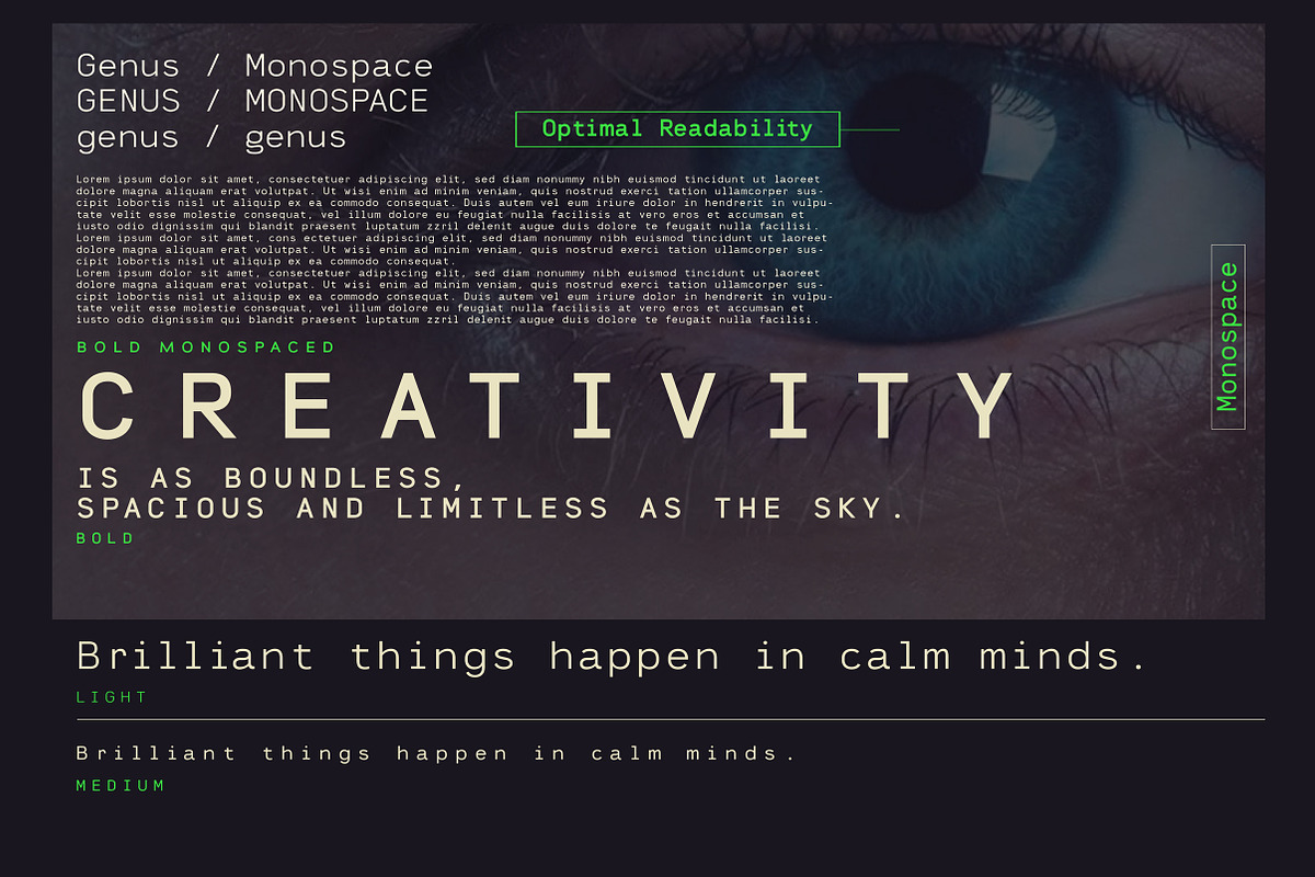 Genus - Monospace Sans Serif Font, a Sans Serif Font by Artistic & Unique (Photo 7 of 15)
