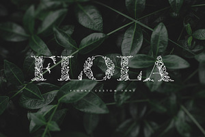 Flola Hand Drawn Font, a Font by freeject.net