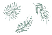 Vector Plant & Leaf Graphics, a Background Graphic by Dorey Kronick Art&Design (Thumbnail 13 of 19)