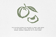 Organic Market 116 Ink Illustrations, a Food Illustration by Veyla (Thumbnail 2 of 15)