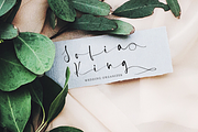 Briosh, a Script Font by Larin Type Co. (Thumbnail 9 of 12)