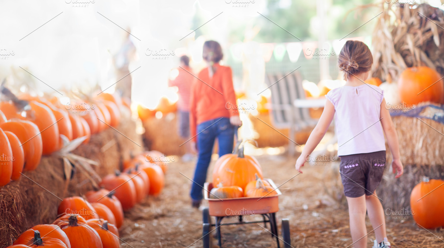 Two Young Girls at A Pumpkin Patch, a Holiday Photo by Andy Dean Photography