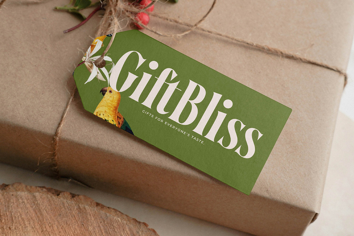 Qastife Elegant Display Serif, a Serif Font by timelesstype.co (Photo 17 of 20)