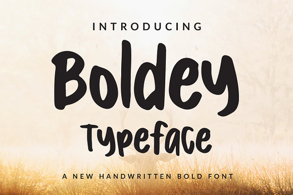 Boldey Typeace - A New Handwritten B preview 7