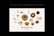 Mushrooms illustrations. Fungi set, a Food Illustration by Diana Askarova Art (Thumbnail 6 of 6)