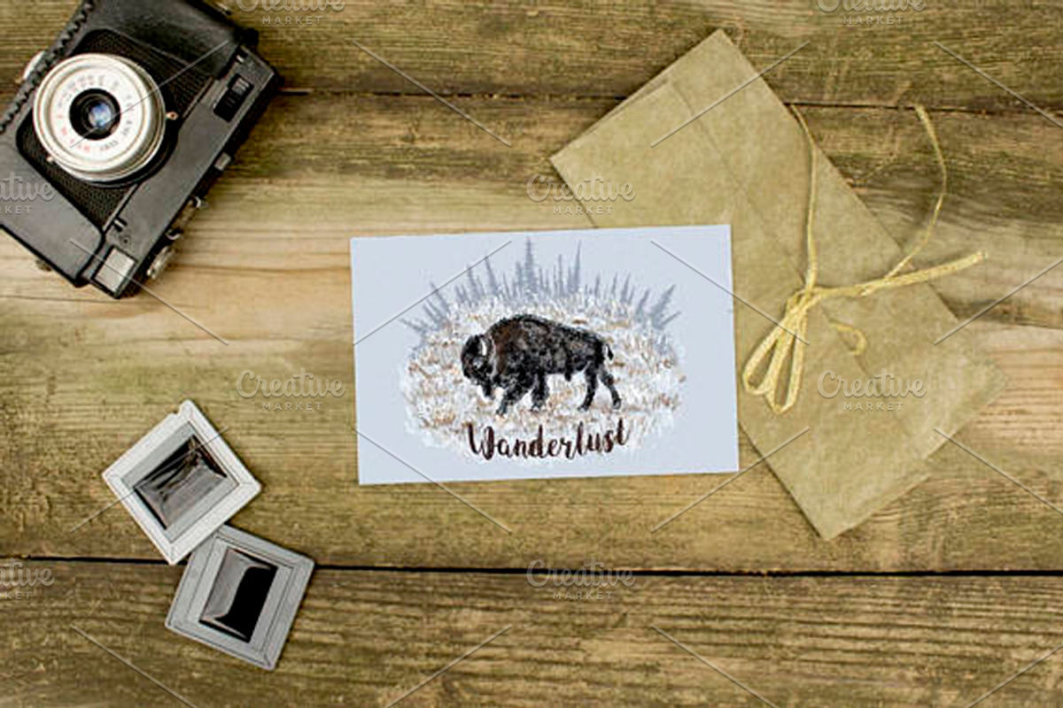 Snow Buffalo Wanderlust Collection, an Animal Illustration by Black Bunny Design Studio (Photo 3 of 11)
