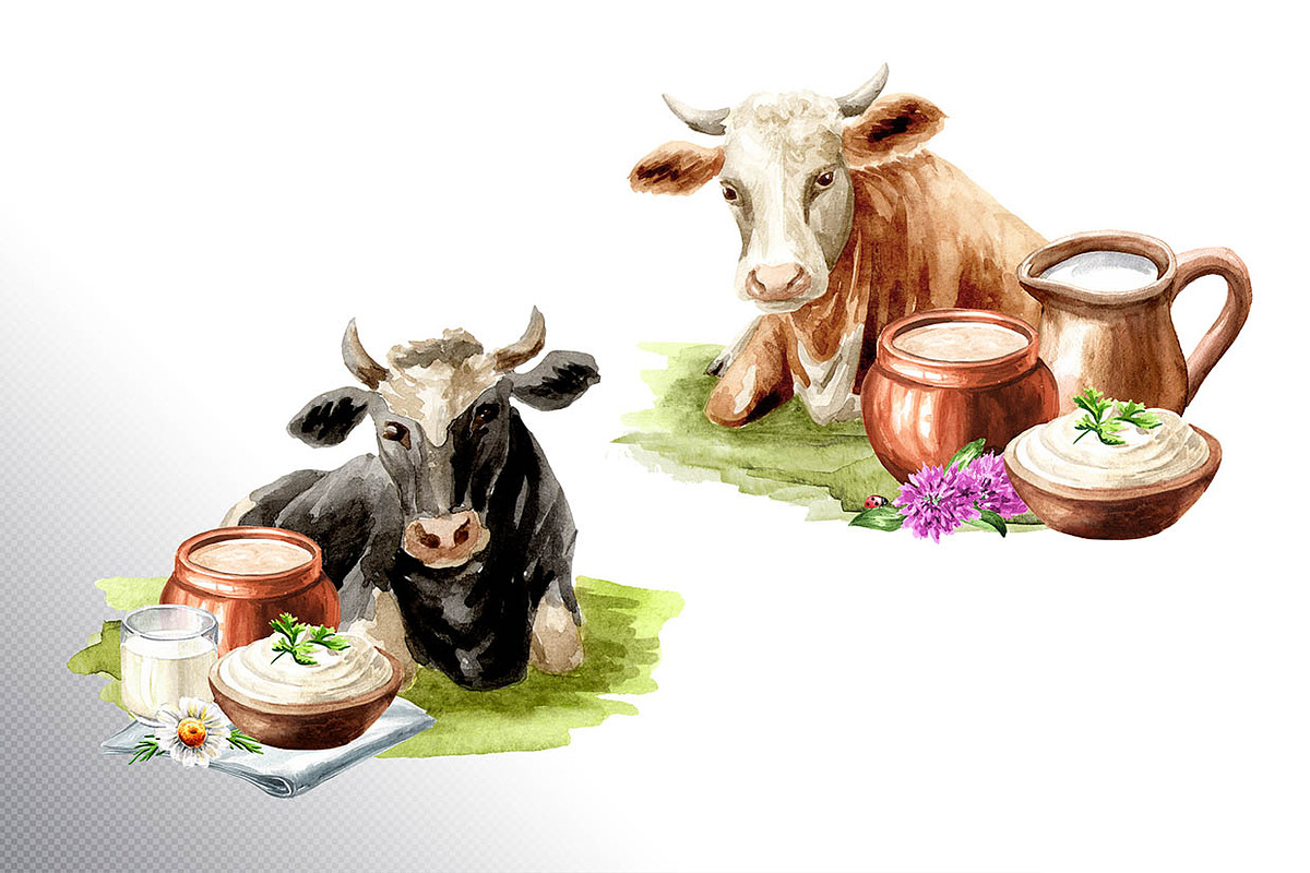 Dairy Farm. Watercolor collection, an Animal Illustration by Daria Ustiugova (Photo 4 of 11)
