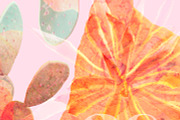 Sahara Flowers #01, a Product Mockup by ARKS ACADEMY (Thumbnail 4 of 10)