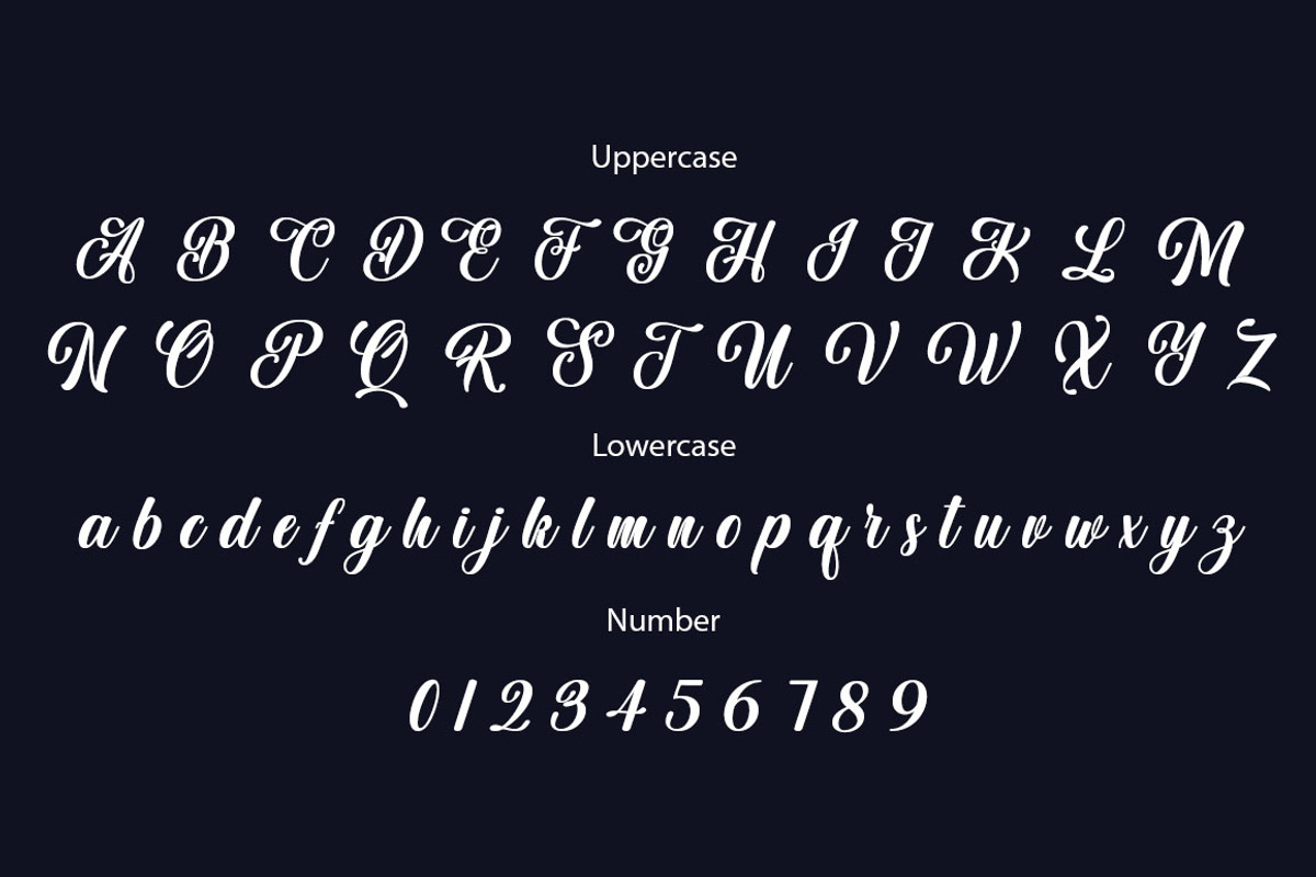 Aulora Script, a Script Font by Typehill (Photo 5 of 8)