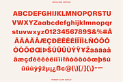 BN Hillside Grotesk, a Sans Serif Font by Bnick (Thumbnail 14 of 14)