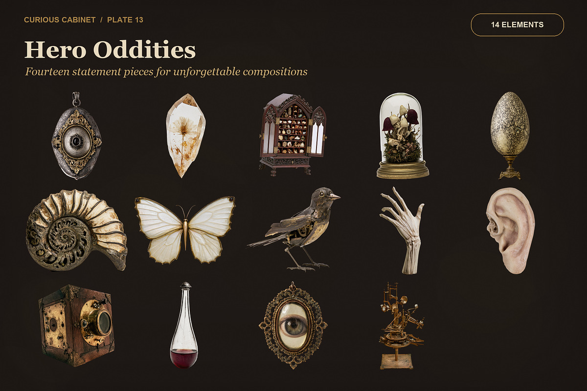 Curious Cabinet Collage Kit, an Object Graphic by Le.nart (Photo 13 of 15)