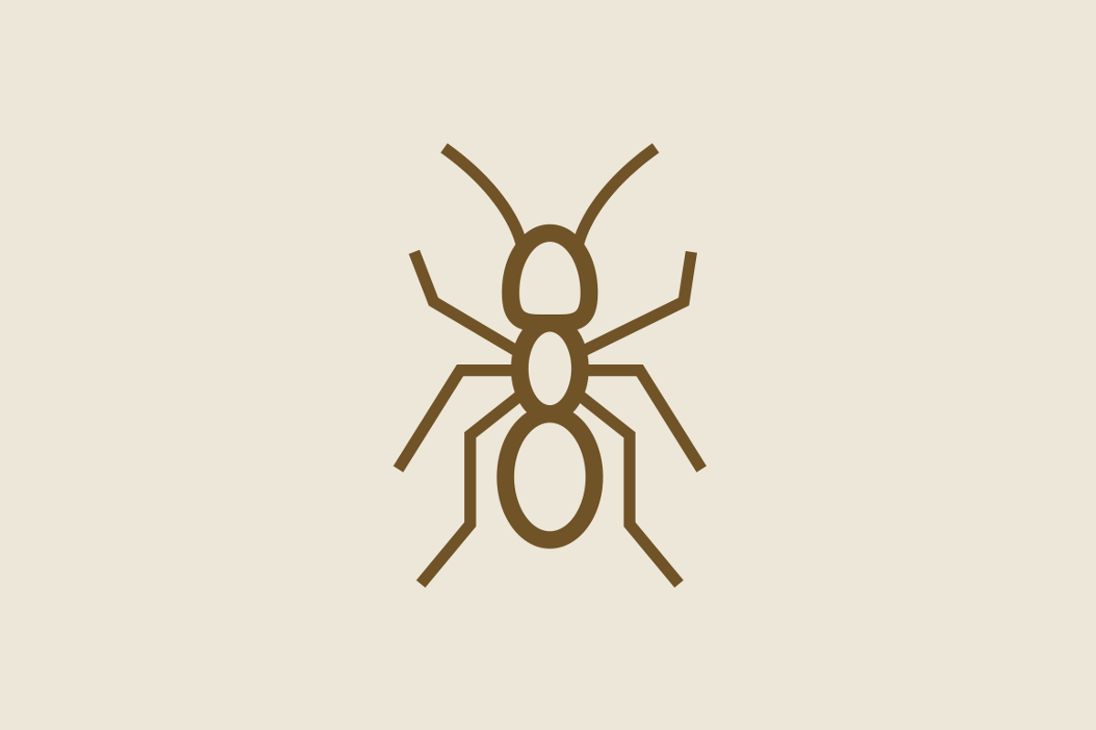 15 Insect Icons preview 2