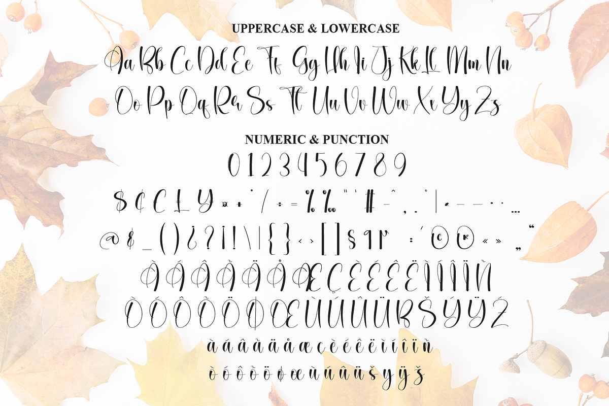 Autumn | Script Font, a Handwritten Font by Scratchones (Photo 7 of 9)