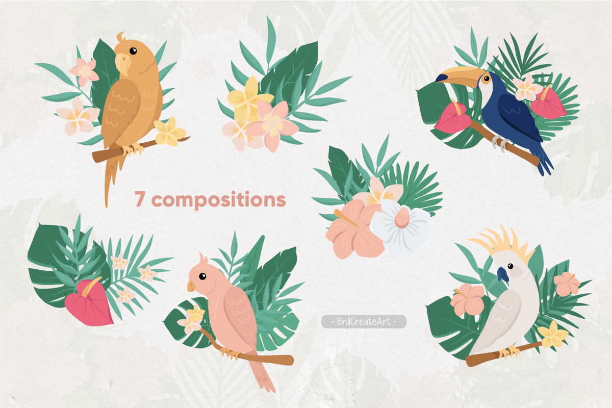 Tropical birds, flower & leaves, an Illustration by BrillCreateArt (Photo 4 of 5)