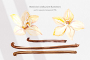 Cosmetic Ingredients Watercolor set, a Healthcare Illustration by Volha Studio (Thumbnail 14 of 19)
