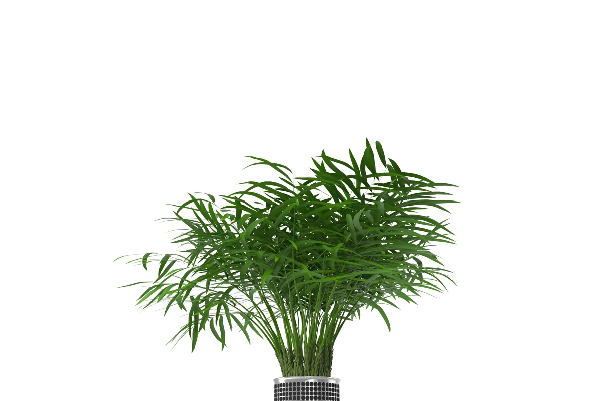 Flowerpot, an Environmental 3D Model by AndrewWhite (Photo 4 of 5)