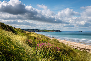 Sandy beach and rolling dunes with lush marram grass, colorful w, a Photo by Studio ANNA