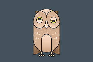 Simply Animals / Owl