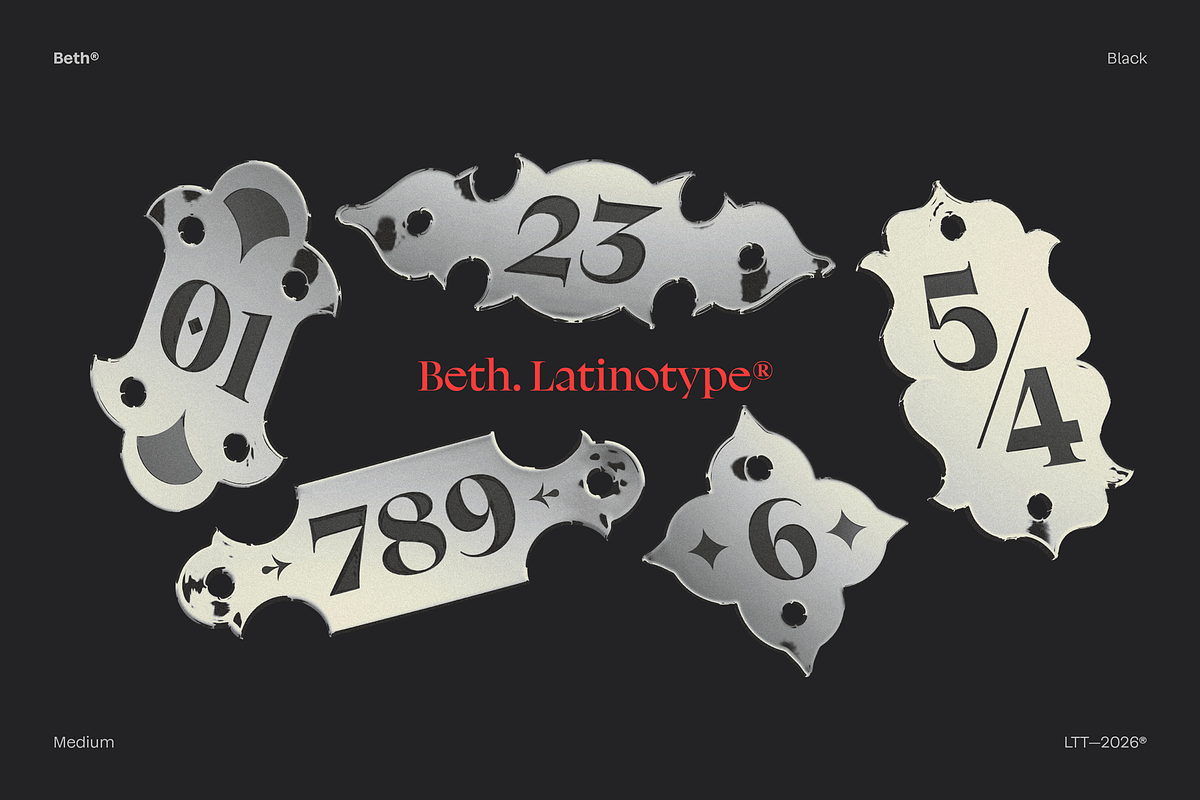 Beth - Intro Family 60% off, a Serif Font by Latinotype (Photo 7 of 17)