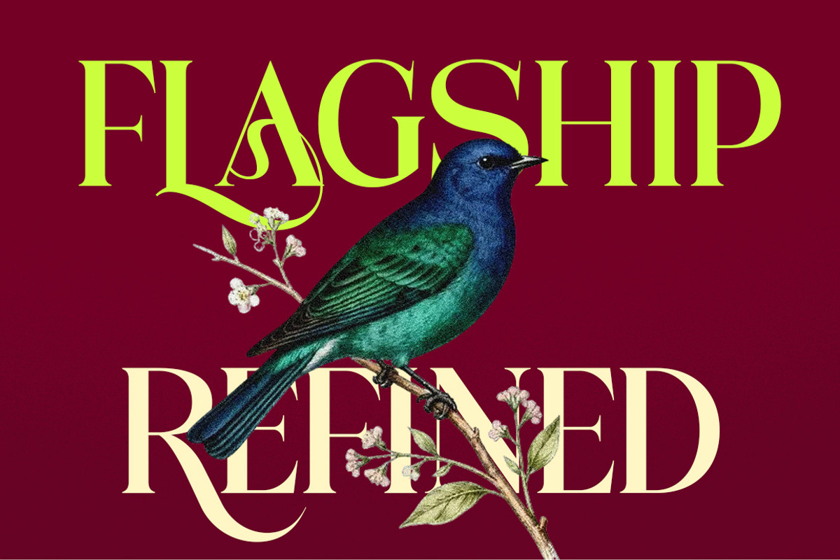 Lebronne - Serif Font, a Serif Font by Sronstudio (Photo 4 of 11)