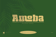 Amoba, a Slab Serif Font by Linecreative (Thumbnail 1 of 11)