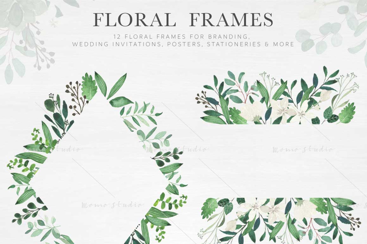 Modern Botanicals Florals & Leaves, an Illustration by Momo Studio (Photo 4 of 15)