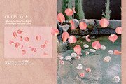 Multicolored Rose Petals Overlays, a Texture Graphic by Kaleriia (Thumbnail 2 of 16)