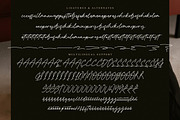 Brighton Heritage, a Handwritten Font by operatype.co (Thumbnail 14 of 15)