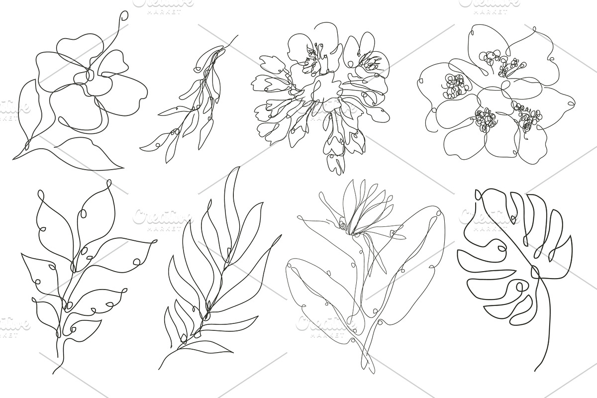 71 Flowers Continuous Line Set, a Decorative Illustration by Sunset&Sea Design (Photo 6 of 8)