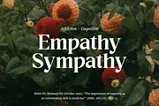 Raphen Madam - Classic Elegant Serif, a Serif Font by Pandeka Studio (Thumbnail 9 of 12)
