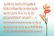 Brasky Modern Serif Display, a Serif Font by timelesstype.co (Thumbnail 6 of 10)