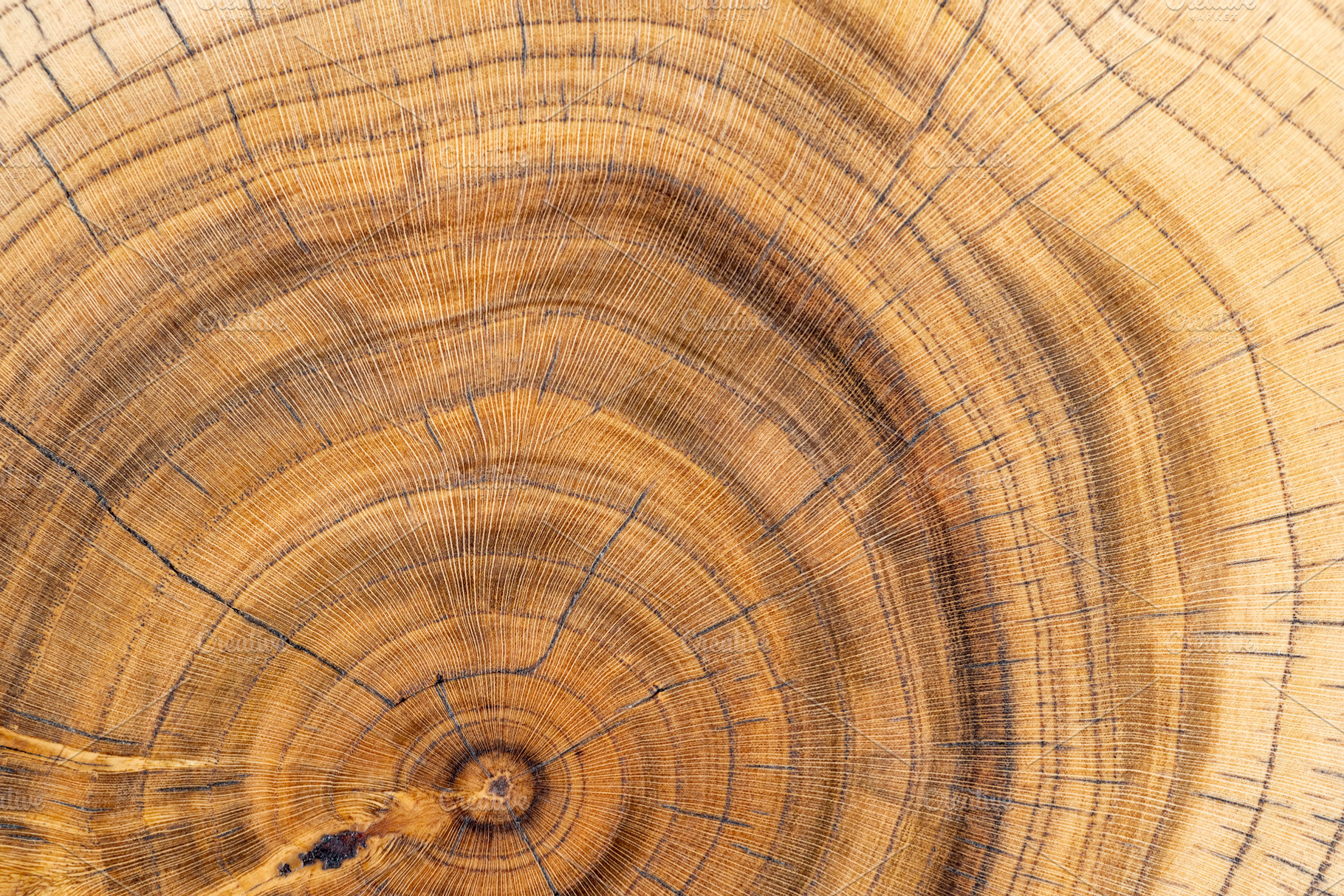 a walnut trunk polished for the manufacture of interior details, processed beau, a Photo by rsoollAI