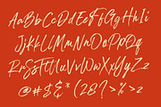 Palmetas, a Handwritten Font by Gatype (Thumbnail 9 of 10)