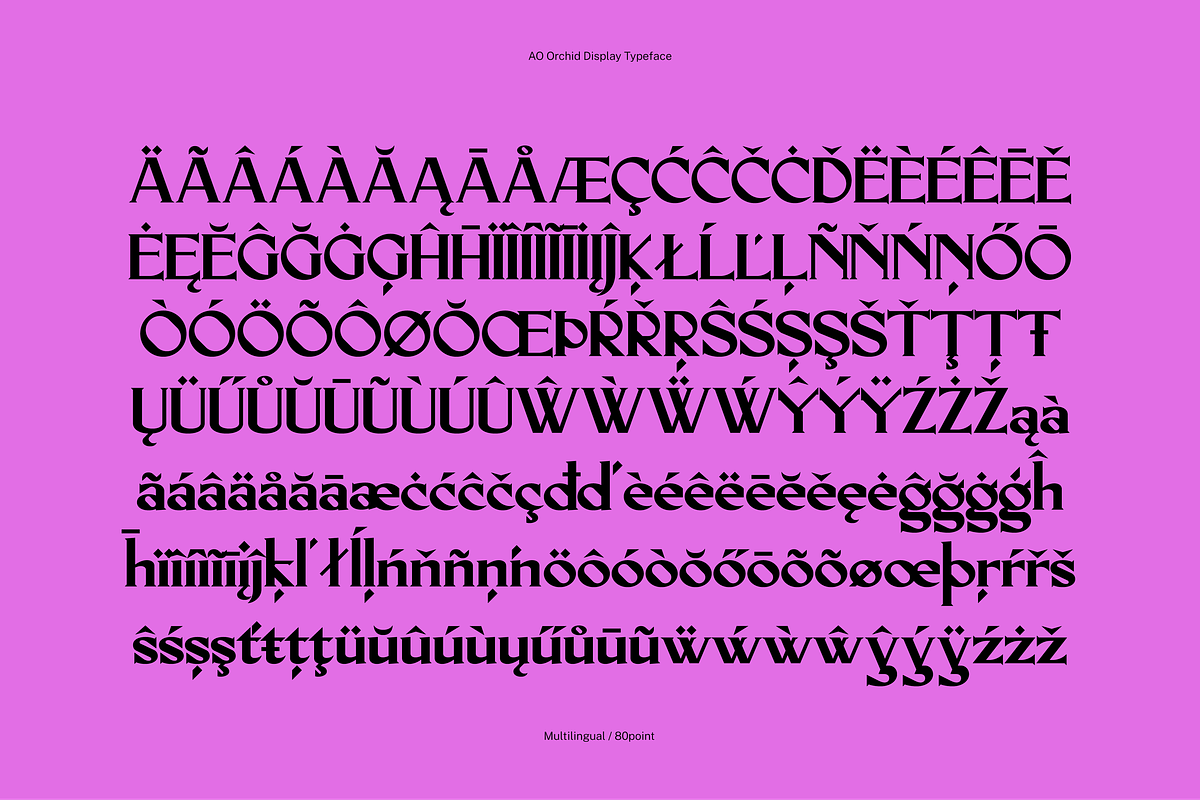 AO Orchid - Decorative Typeface, a Serif Font by OwunStudio (Photo 3 of 15)